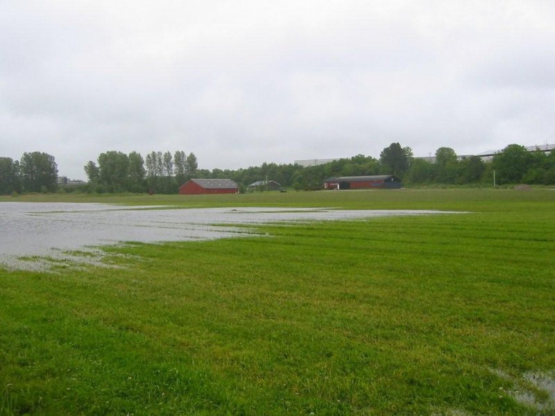 regn_11-12_juni_2009 14